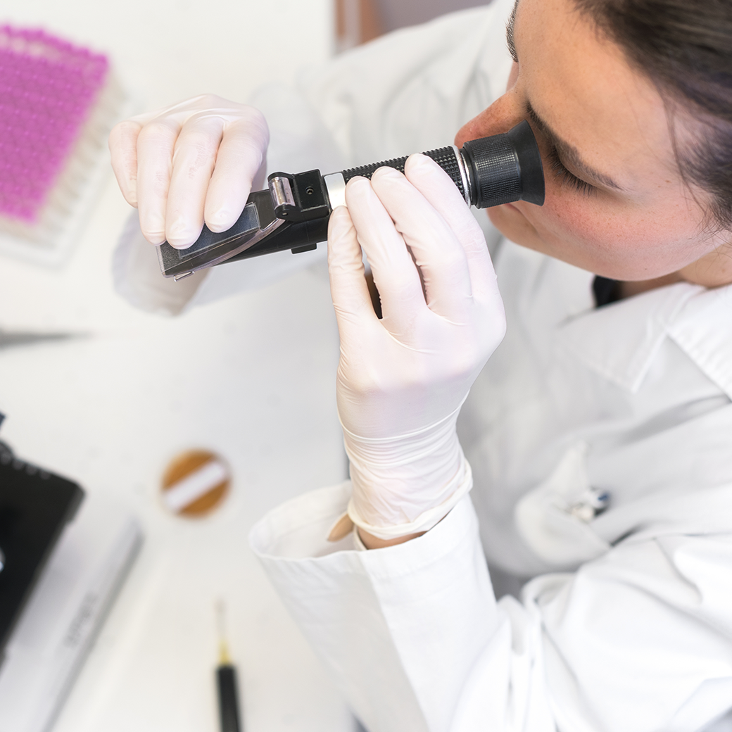 Optmimol Refractometer